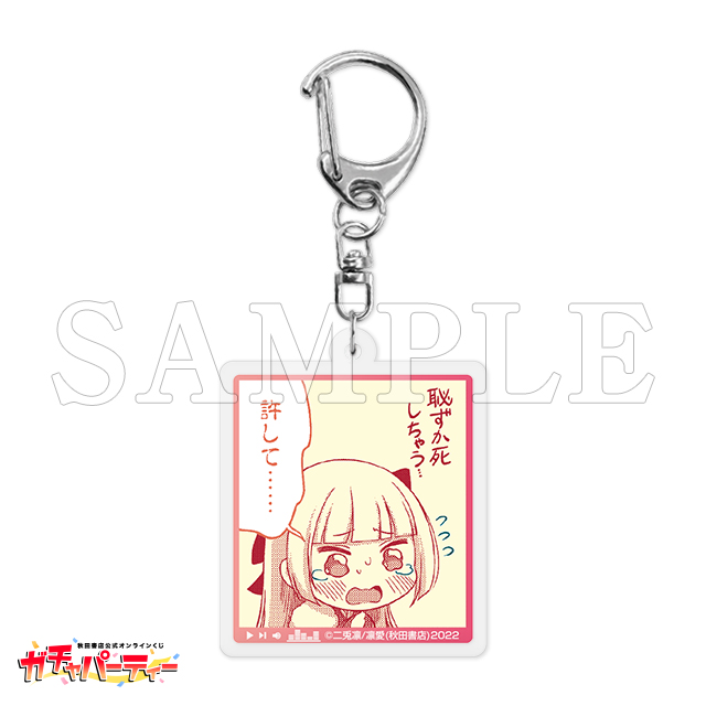 D-20 アクリルキーホルダー /T